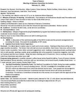 Icon of 20200211 Sr Advisory Minutes