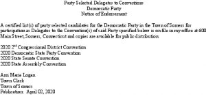 Icon of Democratic Selected Delegates To Conventions