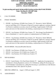 Icon of 20200901 Zoning Commission Meeting Agenda