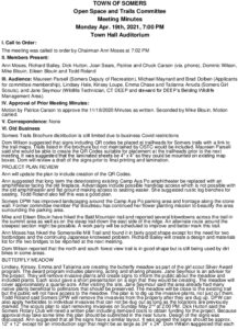 Icon of 20210419 OSTC Meeting Minutes