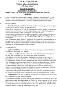 Icon of 20210602 Conservation Minutes