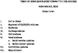 Icon of 20211109 Sr Advisory Agenda