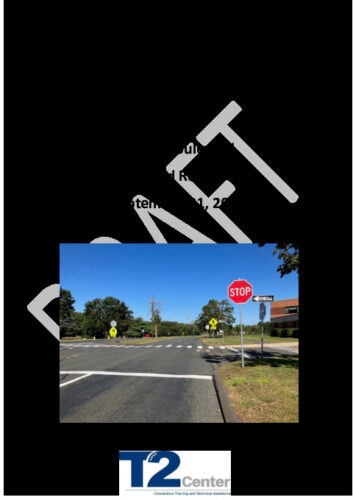 Icon of Draft Vision Boulevard Field Road RSA