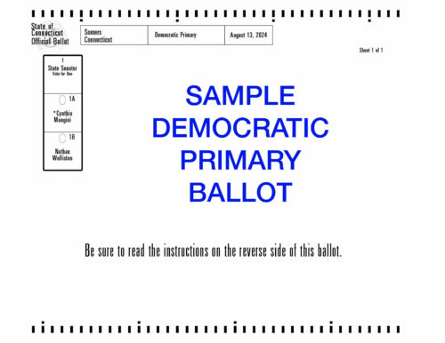 Icon of 20240813SampleDemPrimaryBallot