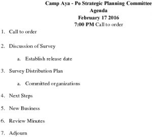 Icon of 20160217 Camp Ayapo Planning Agenda