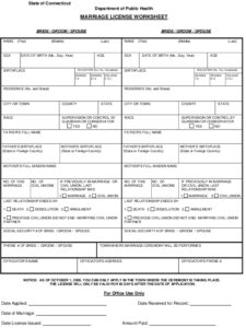 Icon of Marriage Lic Worksheet
