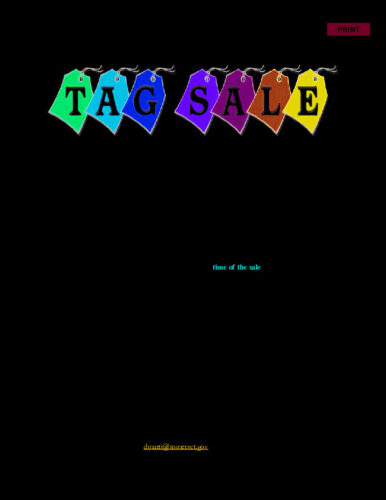 Icon of 2024-town-wide-tag-sale-ApplicationGENERIC